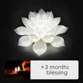 Load image into Gallery viewer, Lotus Lamp & Offering -- Luohan Temple
