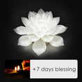 Load image into Gallery viewer, Lotus Lamp & Offering -- Gaolong Temple
