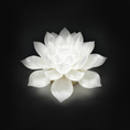 Load image into Gallery viewer, Lotus Lamp & Offering -- Guangligu Temple
